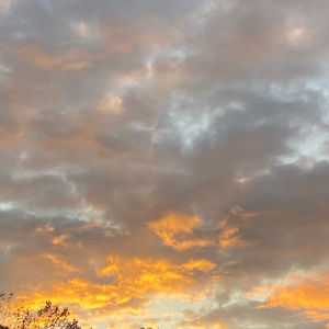 Meet your Posher, Cc’s life!